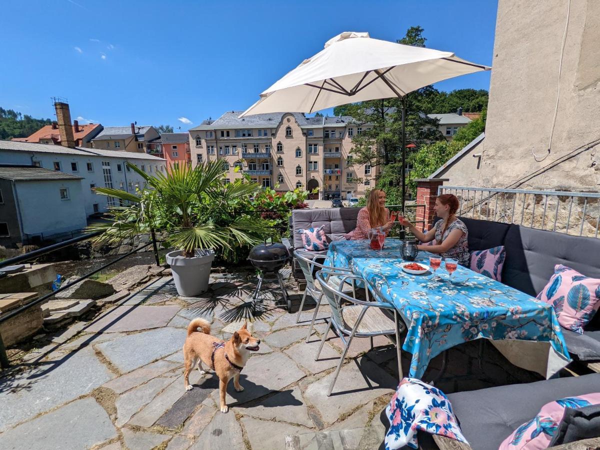 Lichtdurchflutete Helle Wohnung Mit Garten Sauna & Pool - Hw3 Sebnitz Exterior foto
