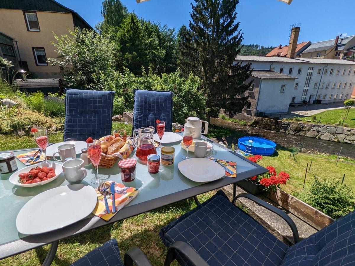 Lichtdurchflutete Helle Wohnung Mit Garten Sauna & Pool - Hw3 Sebnitz Exterior foto