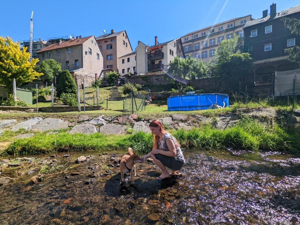Lichtdurchflutete Helle Wohnung Mit Garten Sauna & Pool - Hw3 Sebnitz Exterior foto